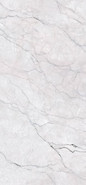 Керамогранит Super White Extra 120x280 Matt (6 мм) Zodiac Ceramica Marble матовый универсальная плитка MN257AY281206