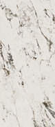 Керамогранит SP.PRP.BRW.LX 2780х1200х6 Arch Skin Design Stones полированный универсальный