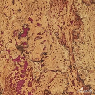 IberCork Малага Рохо 600x300 Пробковые настенные покрытия в пластинах EasyCork клеевое соединение