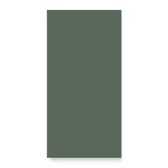 Керамогранит Solid L Moss (121907) 12,5х25 Wow матовый универсальный