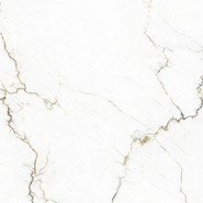 Керамогранит Segesta Caramel Luc Ret 60x60 Tagina полированный универсальная плитка 127055