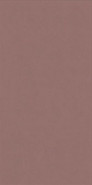 Настенная плитка Wide and Style Mini Paprika Ret 60x120 матовая керамическая