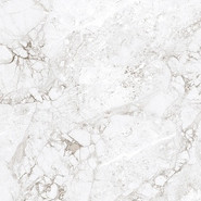 Керамогранит Rossalia Natural 60х60 Absolut Gres полированный универсальный AB1208G