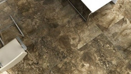 Fossil