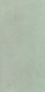 Настенная плитка W- mint-29,8x59,8 матовая керамическая