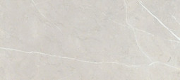 Керамогранит Bright And Shiny BB612NTT9101P NT Ceramic 60х120 полированный универсальная