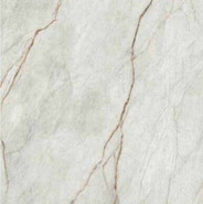 Керамогранит GRE RO6 120 RM  (GRERO6120RM) 120х120 Imola Ceramica матовый универсальный