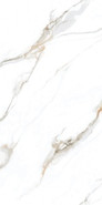 Керамогранит Calacatta Gold 120х240 полированный NT Ceramic универсальный NTT3002P