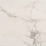 Керамогранит AB 1095G Carrara Classic 60x60 Absolut Gres полированный универсальный