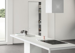 SapienStone-1