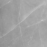 Керамогранит Armani Gris Gloss Absolut Gres 60х60 полированный универсальный AB 1106G