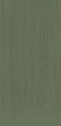 Керамогранит TC Light Green Mat Asia Pacific 60х120 матовый универсальный