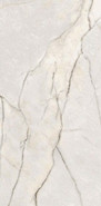 Керамогранит Epoque 21 Lilac White Ant R 60x120 Ariana Ceramica лаппатированный (полуполированный) универсальный PF60009343