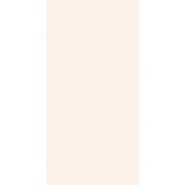Керамогранит Elite Ivory 60x120 5 мм Matt матовый универсальный С0005193