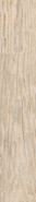Керамогранит Forest Essenze Beige 20х120 Absolut Gres матовый напольная плитка AB 1104W