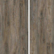 SPC ламинат Evofloor Oak Ashen (Дуб Пепельный) Home 42 класс 1220х183х4 мм (каменно-полимерный)