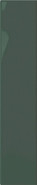 Настенная плитка Plinto Green Gloss 10.7х54.2 DNA Tiles глянцевая керамическая 78803274