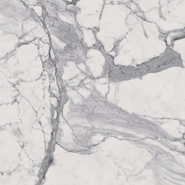 Керамогранит Шарм Эво Статуарио / Charme Evo Statuario 60х60