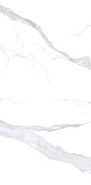 Керамогранит Bianco Statuario 120х240 полированный NT Ceramic универсальный NTT3008P