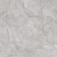 Керамогранит CR122 Vanity Grey Carving 60x60 Primavera универсальная плитка 231588