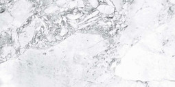 Керамогранит Forest White Semi Polished Goldis Tile 59.7х119.8 полированный универсальный УТ000030468