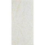 Керамогранит Rapolano Techstone 12 mm 160х320 Exterior Ceramica Maximal Collection матовый универсальная плитка n183379