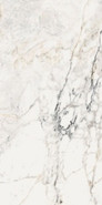 Керамогранит AeOro6278Lp 120х278 La Faenza Monoceram Aesthetica лаппатированный (полуполированный) универсальный