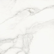 010404001975 Casa Blanca white Керамогранит 01 60х60