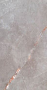 Керамогранит grey Pol 239,8x119,8 универсальный полированный