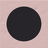Декор Tondo Rosa Vives 20x20 глянцевый керамический