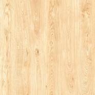 Керамогранит KeraForest Pine Коричневые Светлые 60х60 ProGRES Ceramica матовый универсальная плитка NR0395