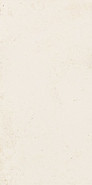 Настенная плитка W--29,8x59,8 матовая керамическая