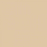 Керамогранит 19 Nut 11,55x11,55 41ZERO42 матовый универсальный 4100817