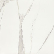 Керамогранит P- White-61x61 напольный матовый