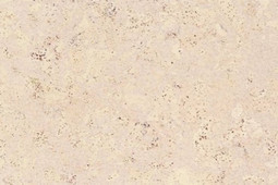 Пробковая панель Corkstyle Cork Wise Madeira White 915x305 33 класс
