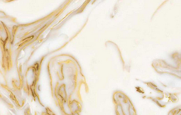 Керамогранит 60х120