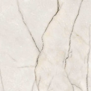 Керамогранит Epoque 21 Lilac White Ant R 60x60 Ariana Ceramica лаппатированный (полуполированный) универсальный PF60009348