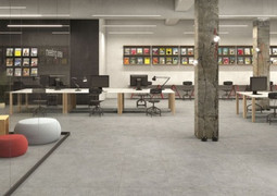 Скайлайн Х2 (Skyline X2)