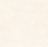 Керамогранит GFU04BLN04R матовый Berlin 600х600х9,5 Almaceramica напольный