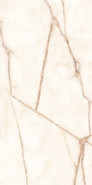 Керамогранит Onyx Natural Ceramicoin 60х120 глянцевый универсальный P 2116