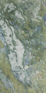 Керамогранит Paradise Rain Forest Green Polished Rec. 60x120 Etili Seramik  полированный универсальный ETI80547