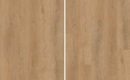 SPC ламинат Evofloor Oak Honey (Дуб Медовый) Home 42 класс 1220х183х4 мм (каменно-полимерный)