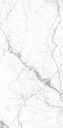 Керамогранит Windsor Dec B White 60х120 Fanal полированный универсальный 00000040146