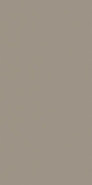 Керамогранит Silk Vision Natural Inalco 100x250 матовый универсальный УТ0025482