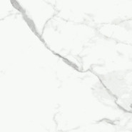 Керамогранит NR104 Dalim white Primavera 60x60 матовый универсальный 00000190232