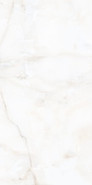Керамогранит Antisky 2 Polished Alpas Cera 60х120 полированный универсальный УТ000033549
