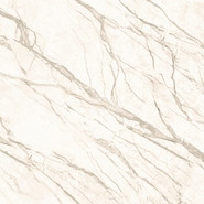 Керамогранит Prima 01 60х60 Pieza Ceramica матовый универсальный PR016060N