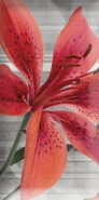 Панно Mix Flowers RBW керамическое