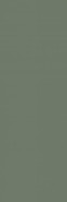 Настенная плитка Nightwish Green Paradyz Ceramika 25x75 матовая керамическая 5902610518065