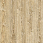 Home Standard 4V
